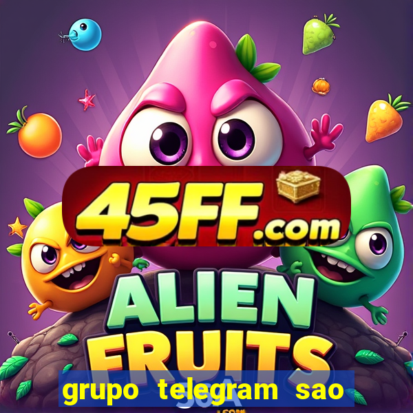 grupo telegram sao jose do rio preto